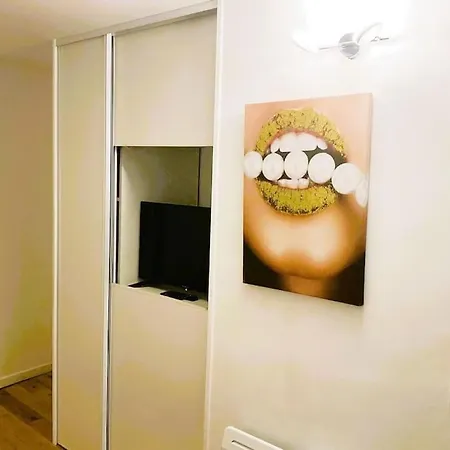 Magnifique Studio Bien Desservi Appartement